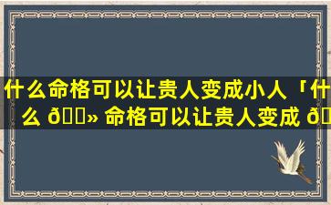 什么命格可以让贵人变成小人「什么 🌻 命格可以让贵人变成 🌾 小人呢」